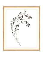 Botaniques encrées I