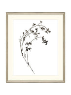 Botaniques encrées I