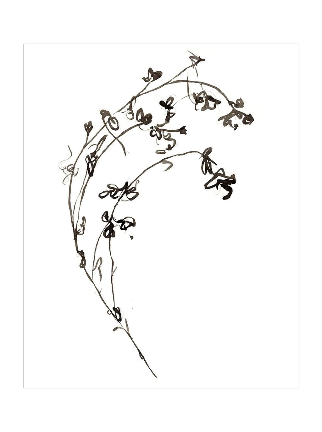 Botaniques encrées I