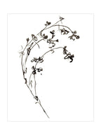 Botaniques encrées I