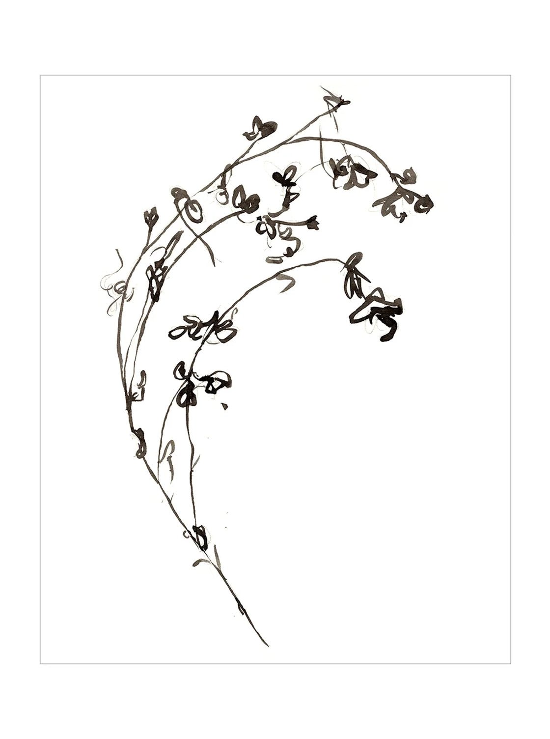 Botaniques encrées I