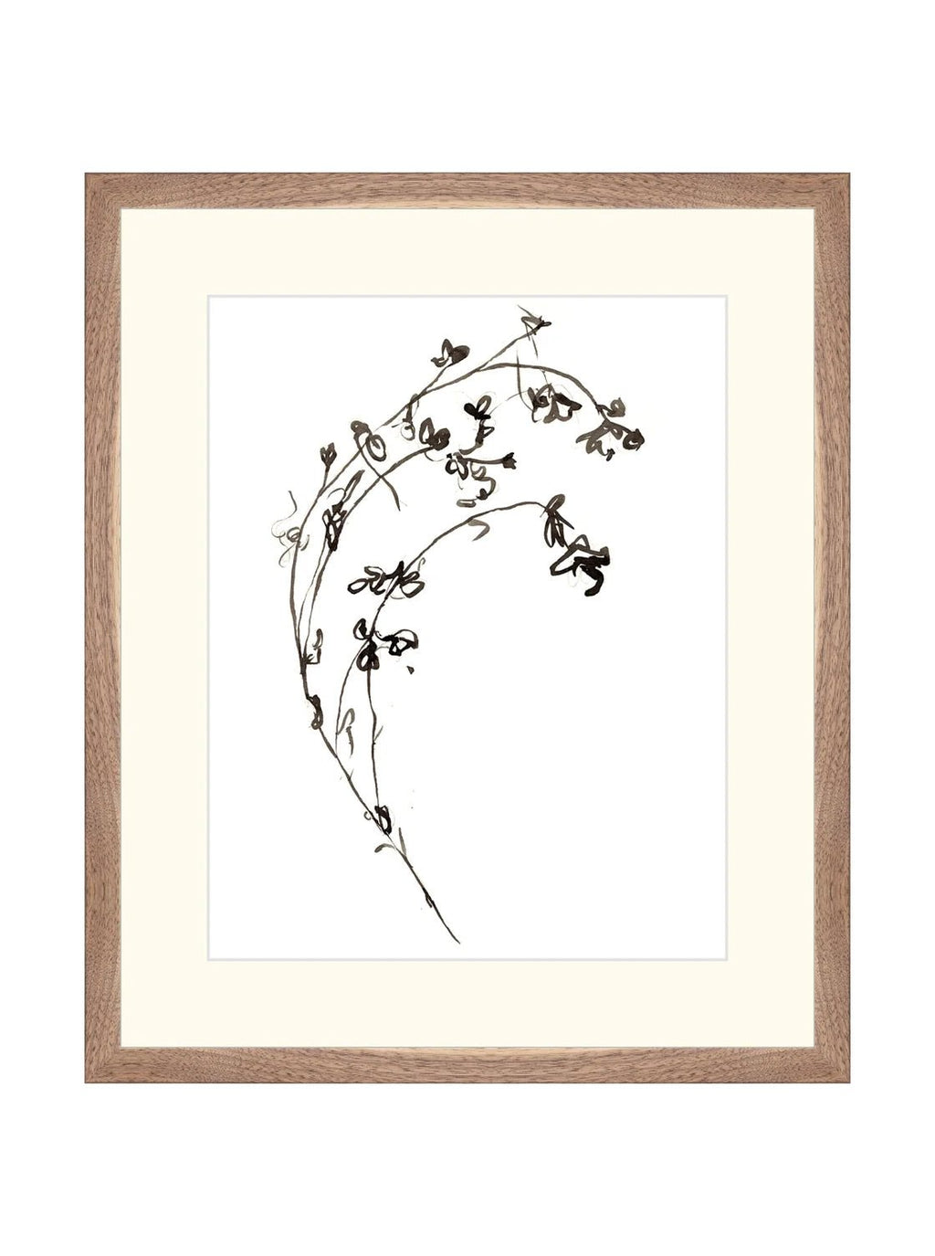 Botaniques encrées I