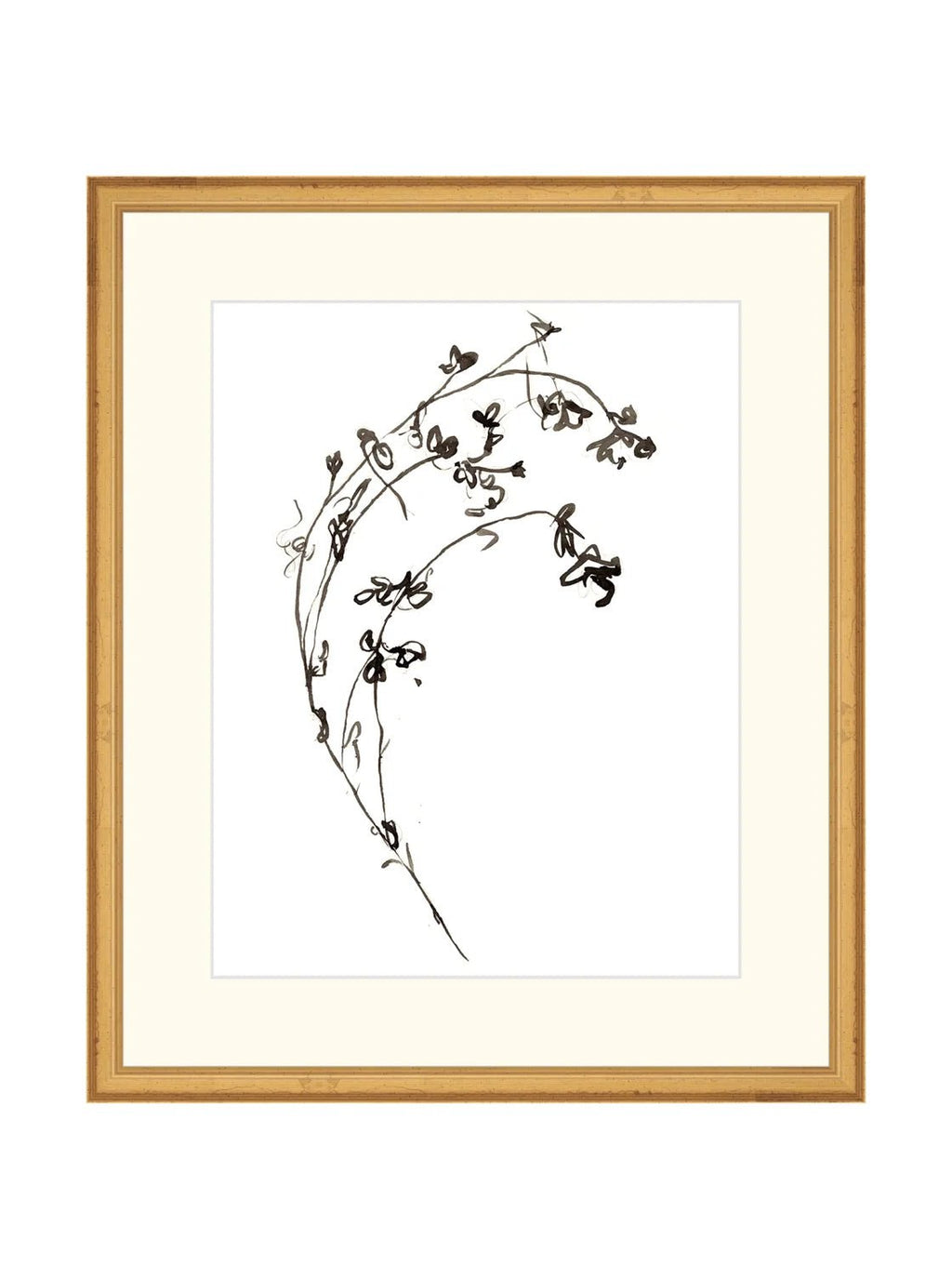 Botaniques encrées I