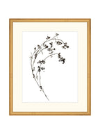 Botaniques encrées I