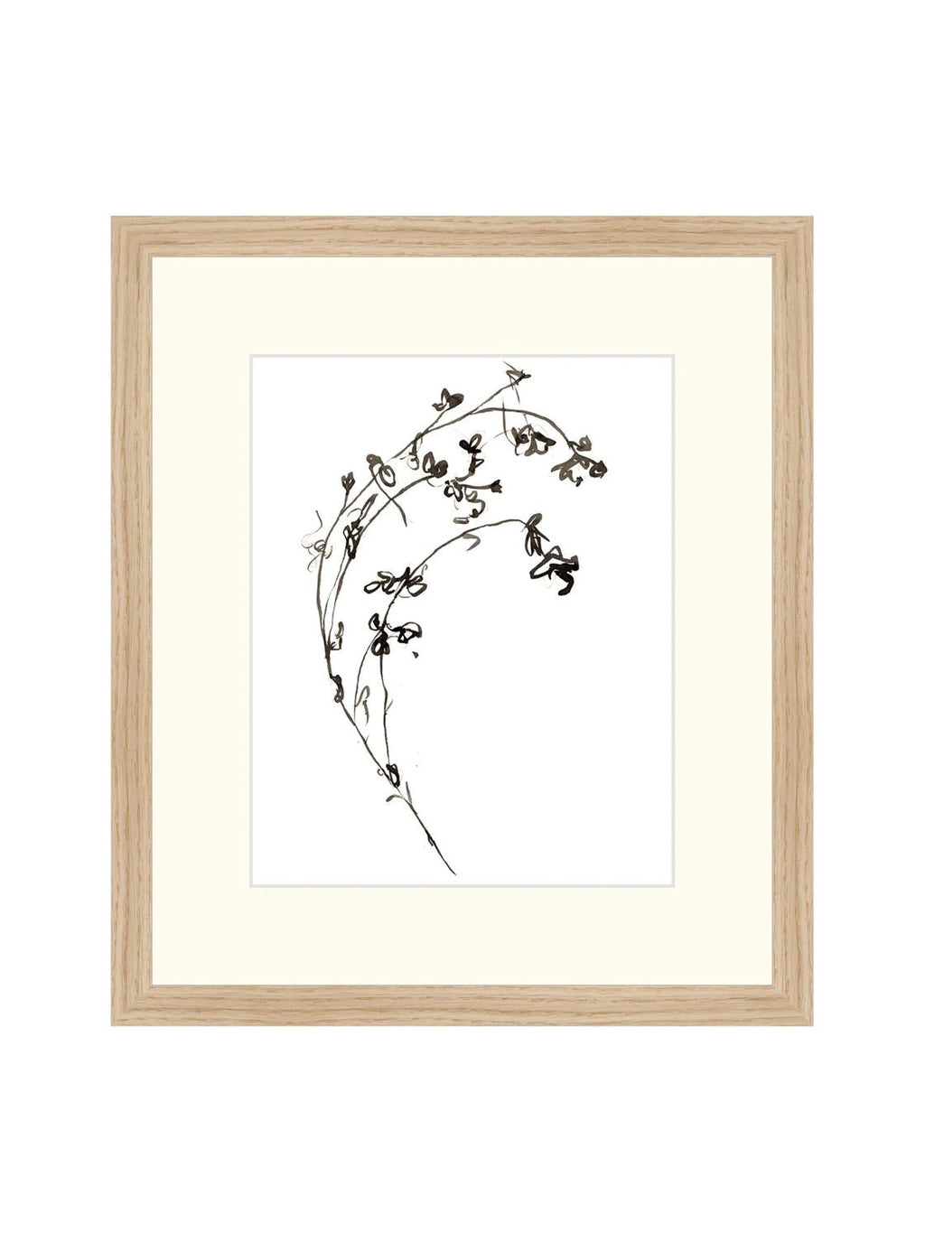 Botaniques encrées I