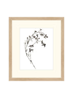 Botaniques encrées I