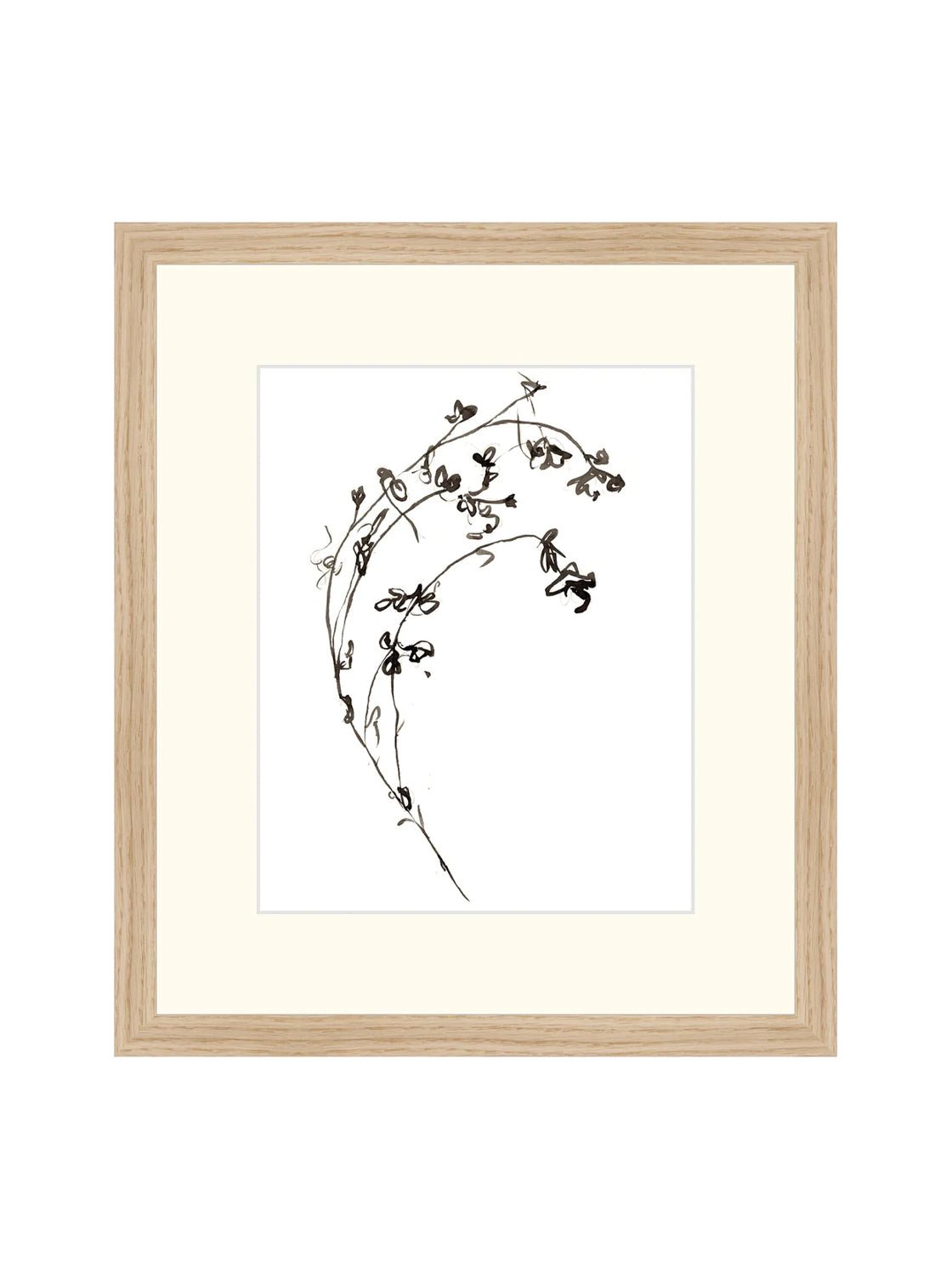 Botaniques encrées I