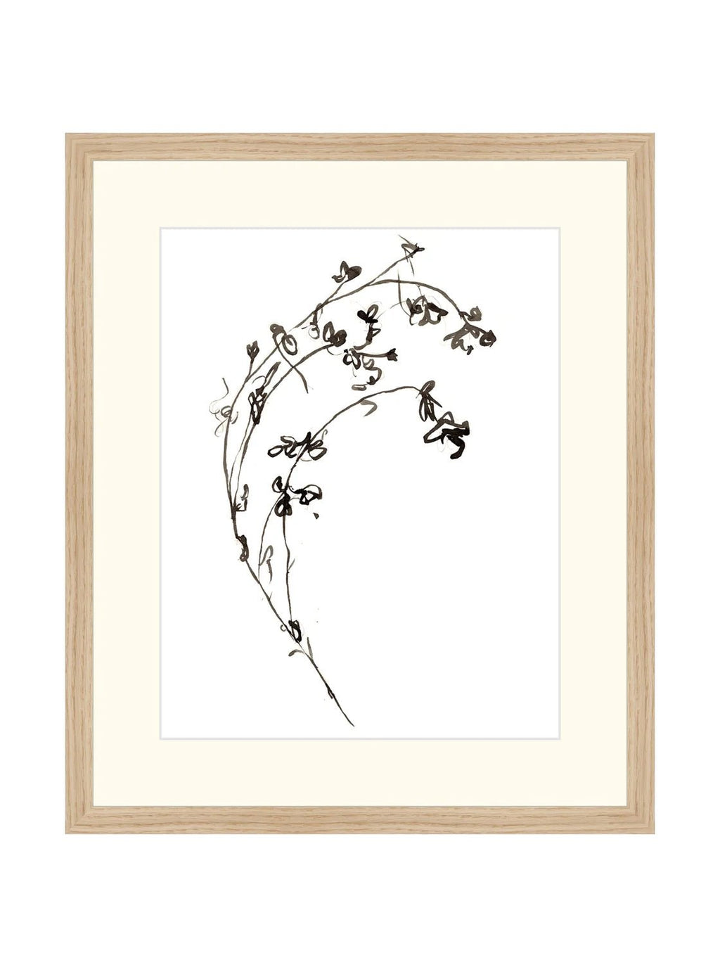 Botaniques encrées I