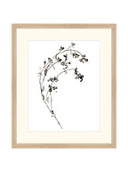 Botaniques encrées I