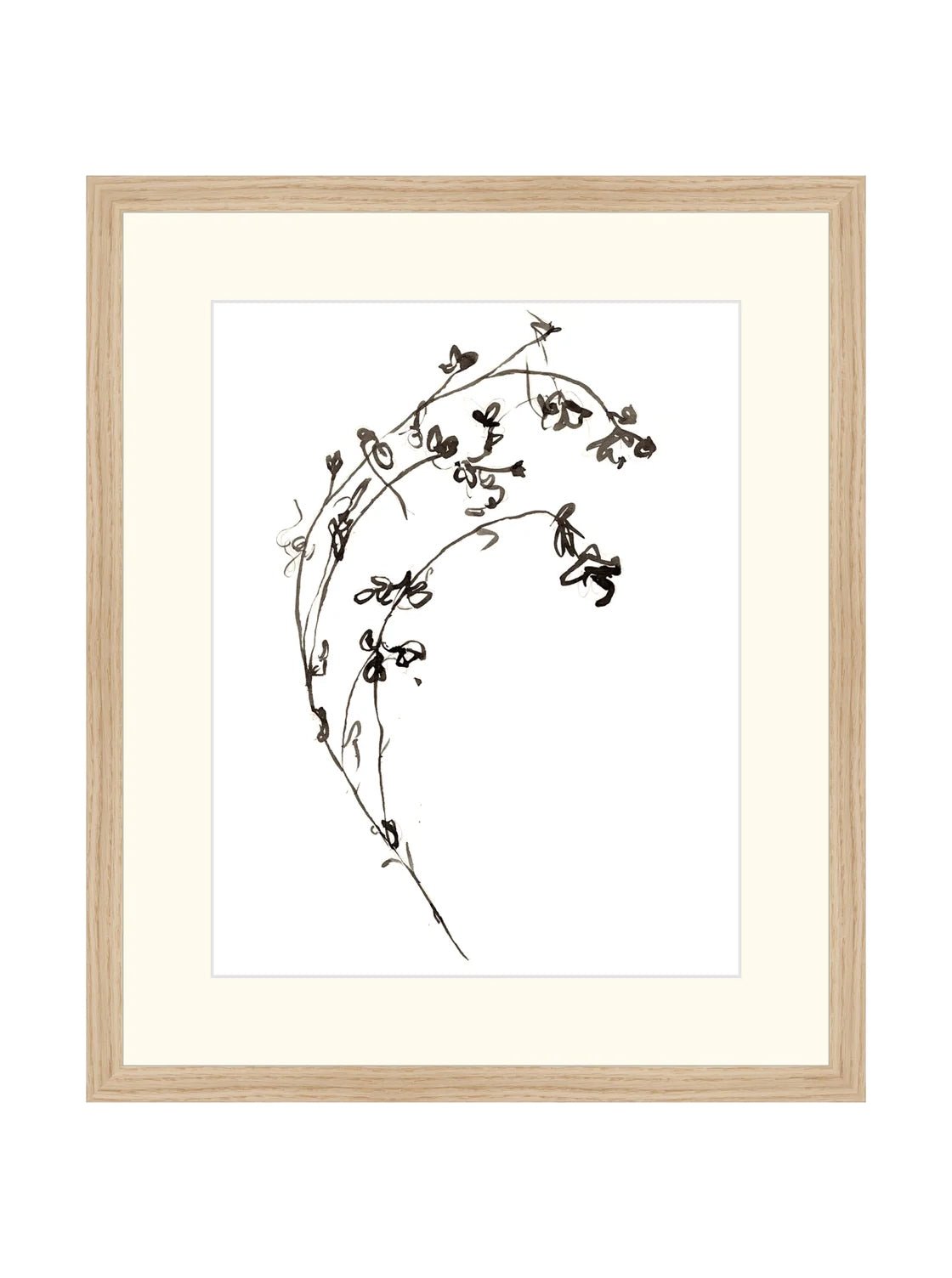 Botaniques encrées I