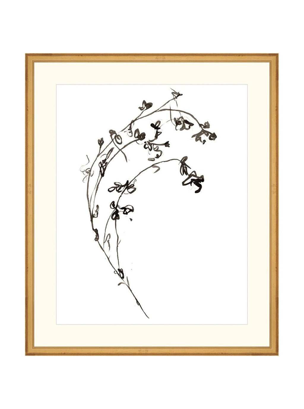 Botaniques encrées I