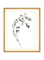 Botaniques encrées I