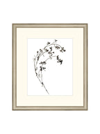 Botaniques encrées I