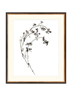 Botaniques encrées I