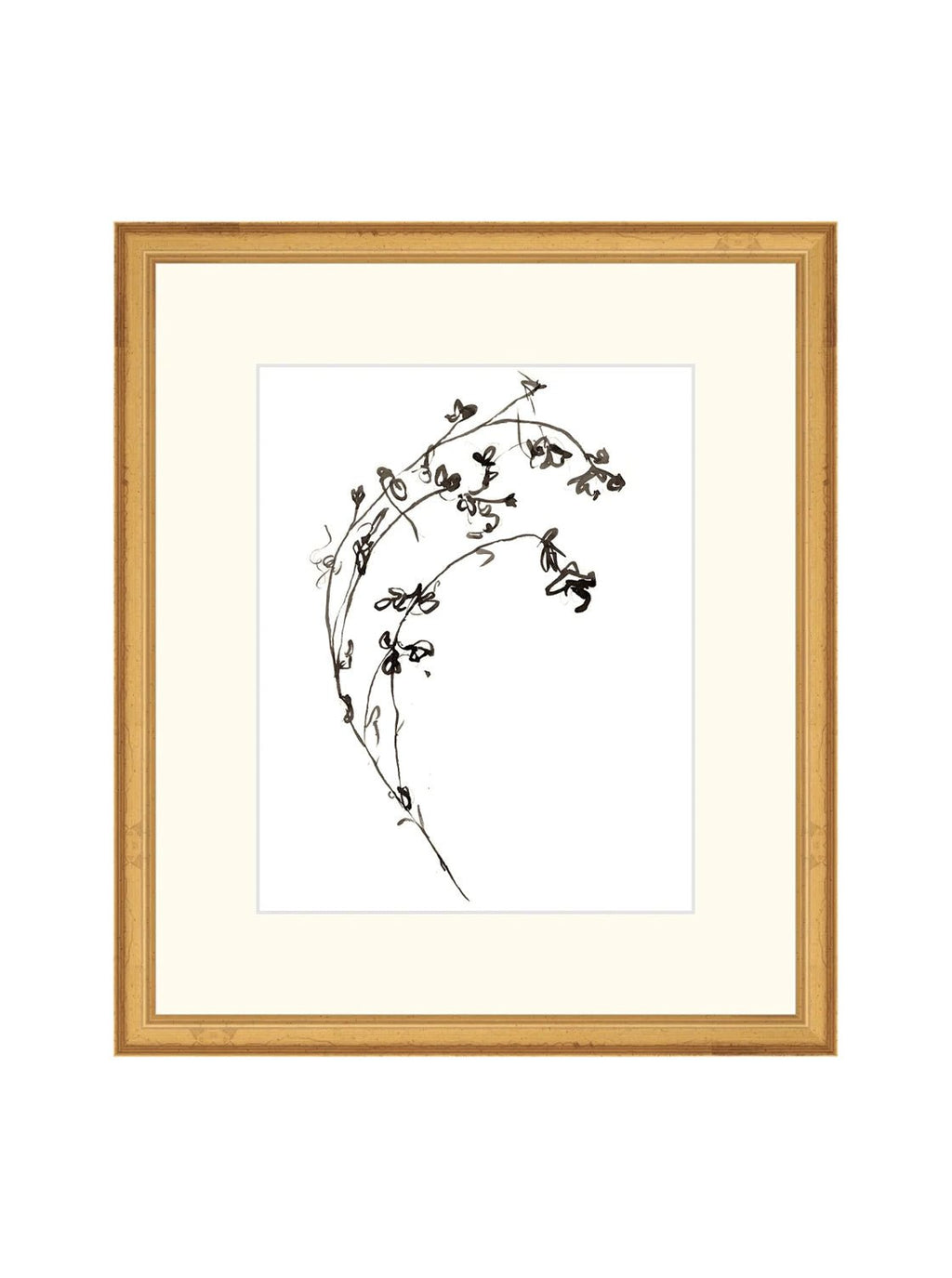 Botaniques encrées I