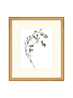 Botaniques encrées I