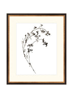 Botaniques encrées I