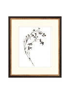 Botaniques encrées I