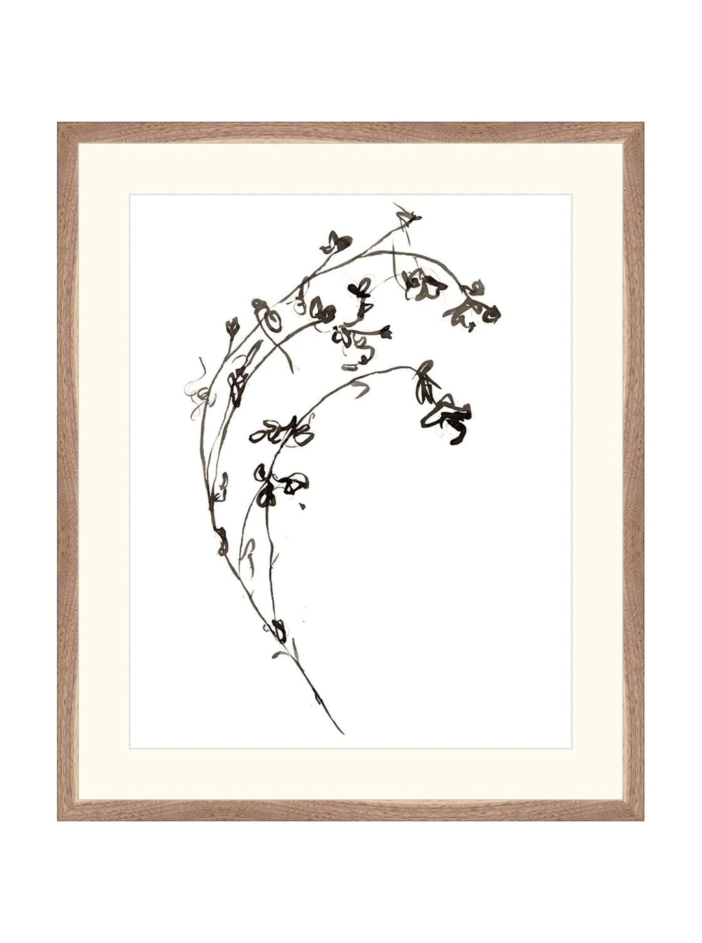 Botaniques encrées I