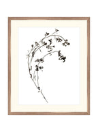 Botaniques encrées I