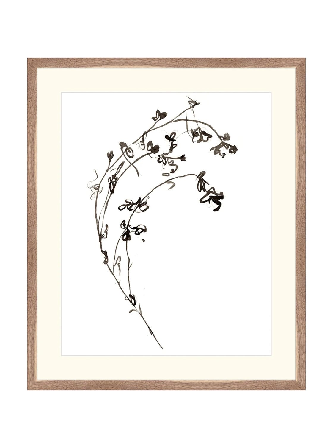 Botaniques encrées I