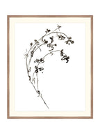 Botaniques encrées I