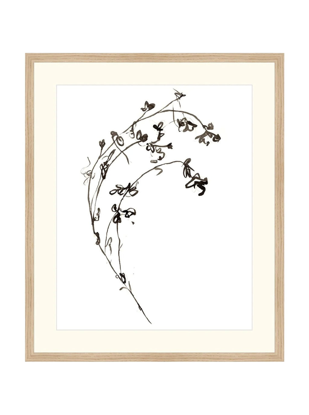 Botaniques encrées I