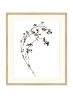 Botaniques encrées I