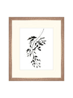 Botaniques encrées II