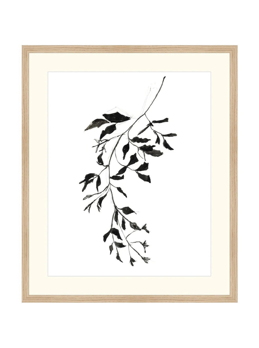 Botaniques encrées II