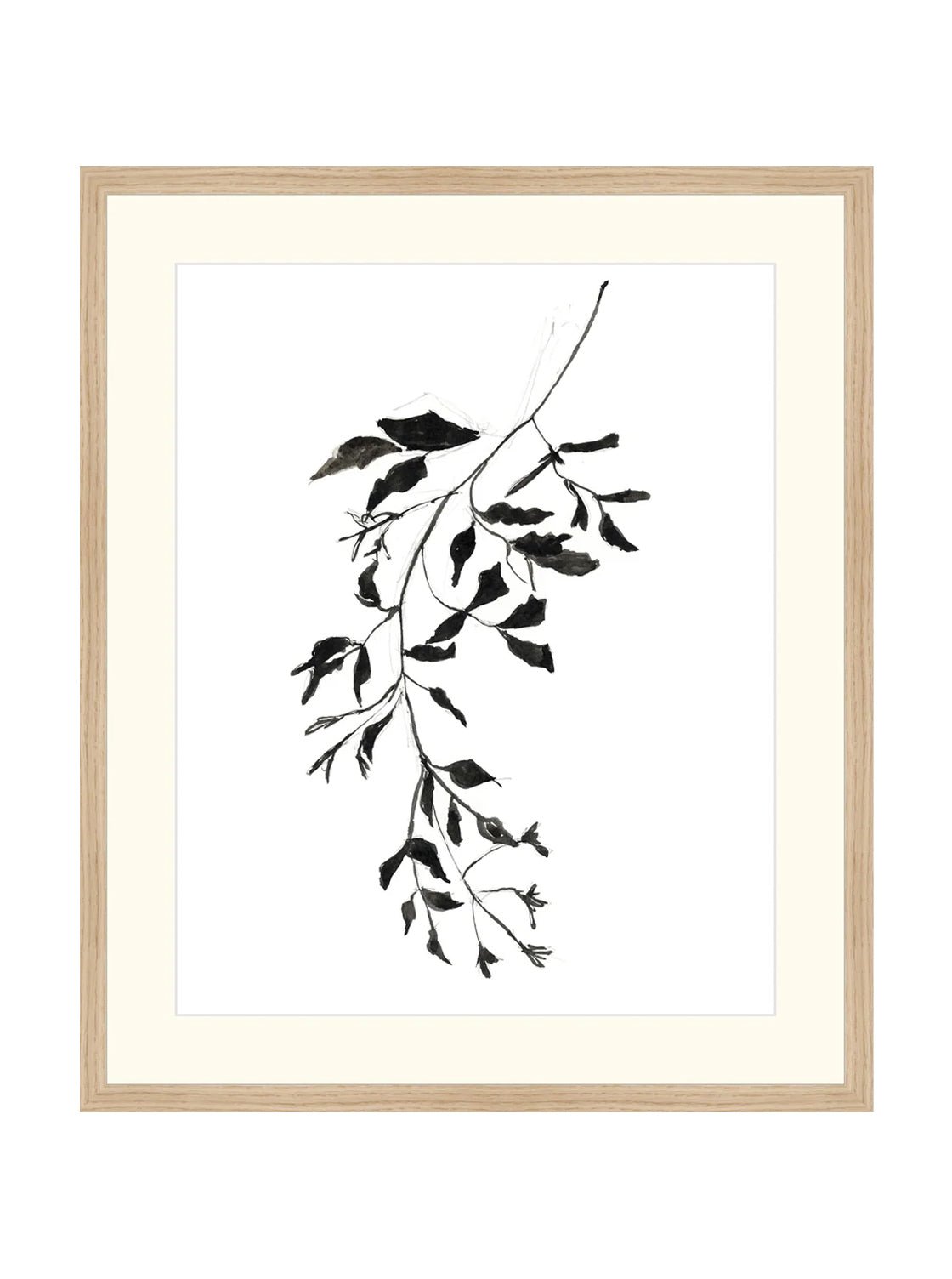 Botaniques encrées II