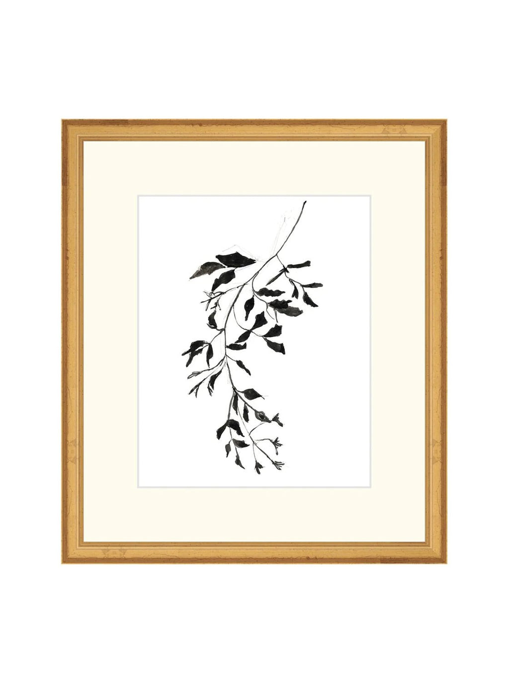 Botaniques encrées II