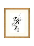 Botaniques encrées II