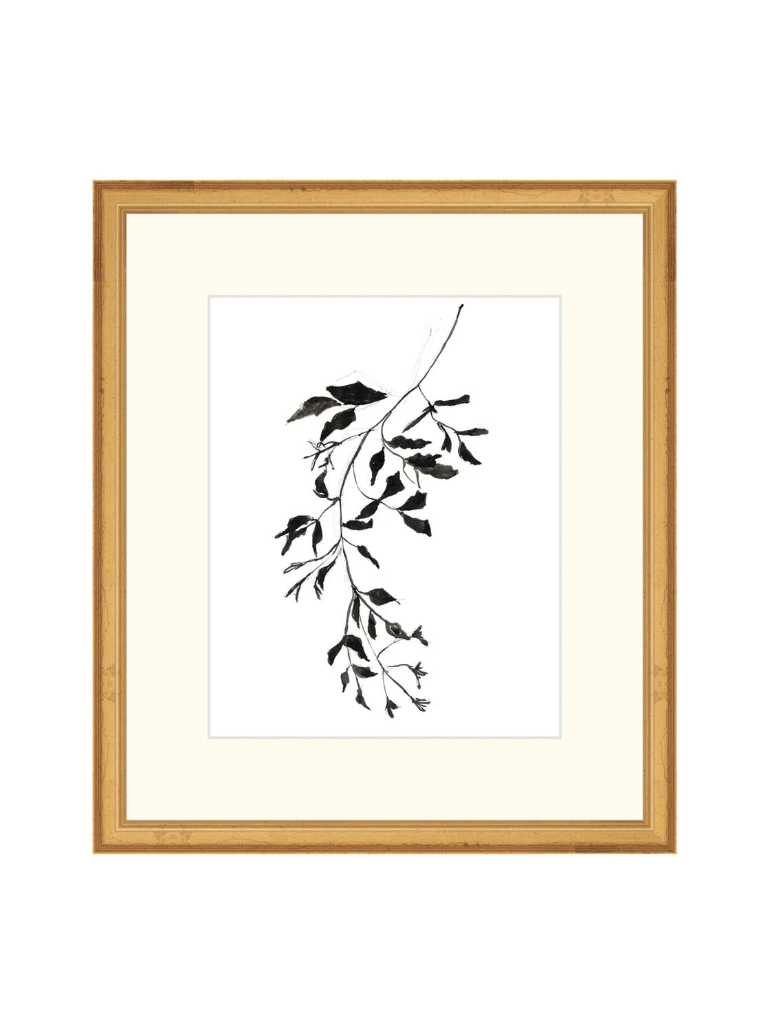 Botaniques encrées II