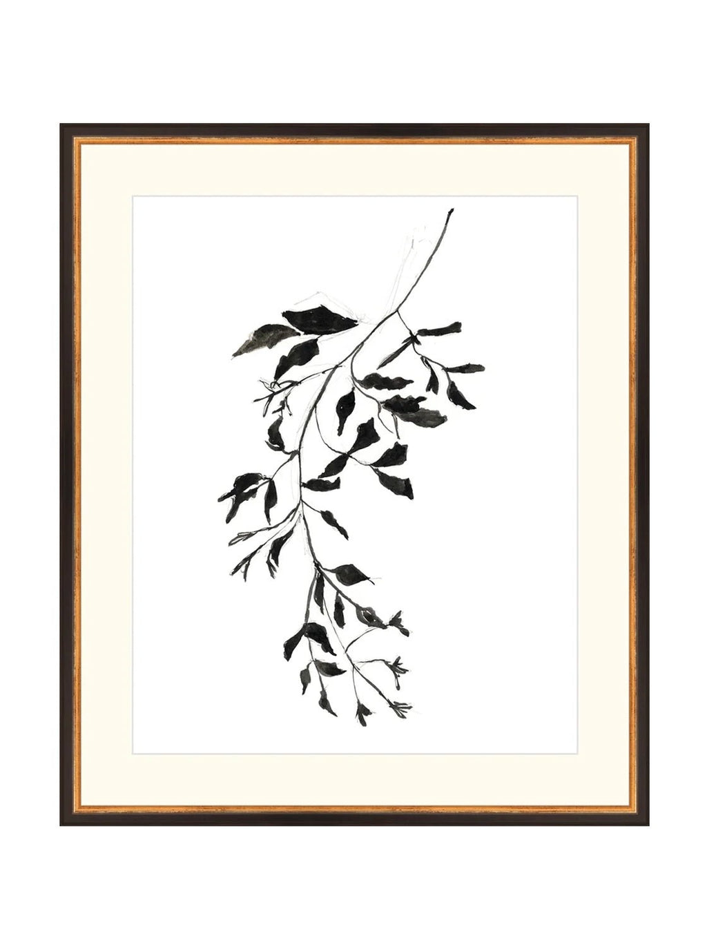 Botaniques encrées II