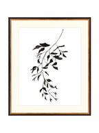 Botaniques encrées II