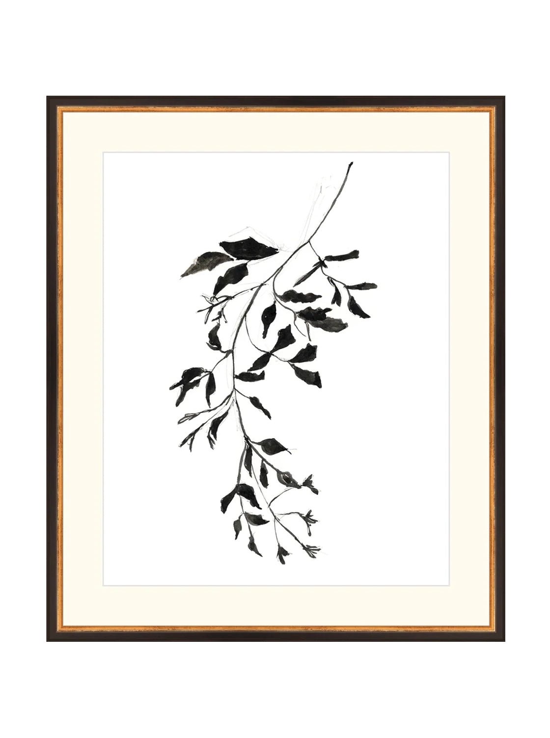 Botaniques encrées II