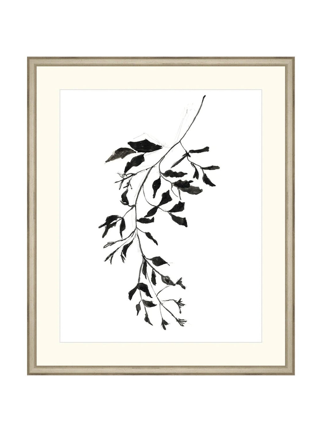 Botaniques encrées II