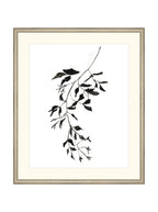 Botaniques encrées II