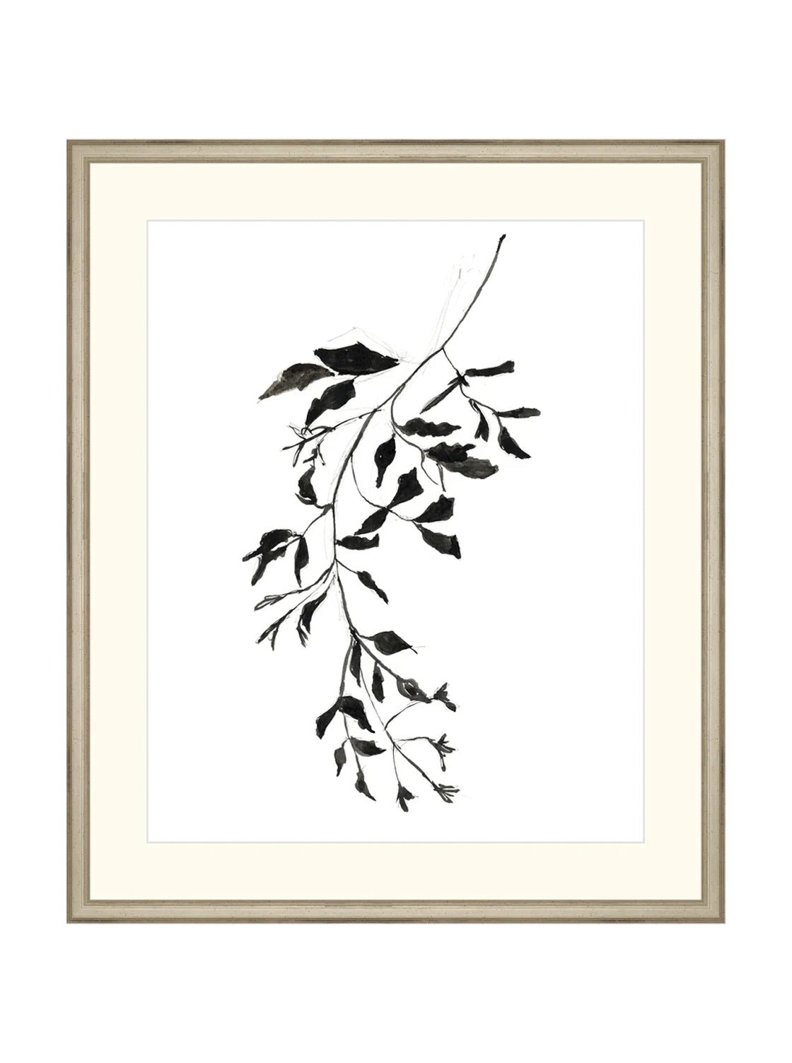 Botaniques encrées II