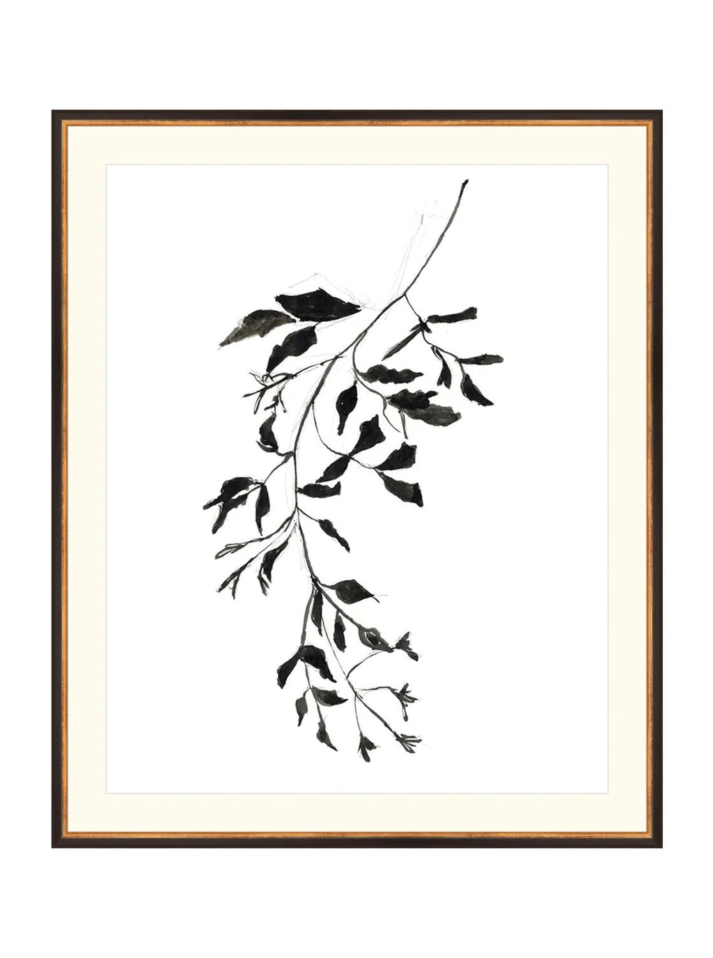 Botaniques encrées II
