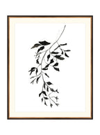 Botaniques encrées II