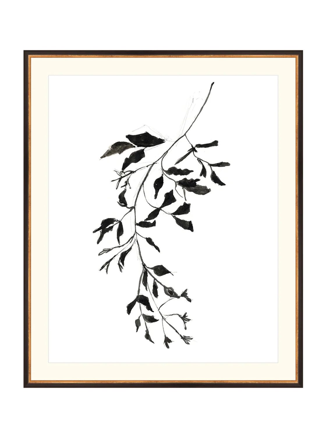 Botaniques encrées II