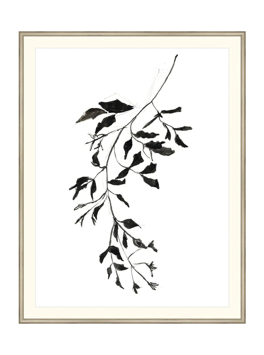 Botaniques encrées II