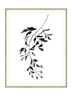 Botaniques encrées II