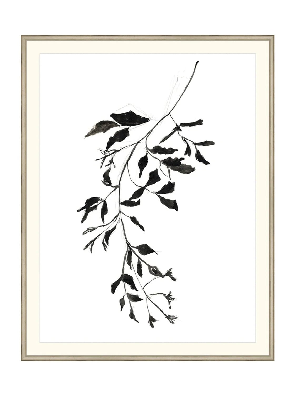 Botaniques encrées II