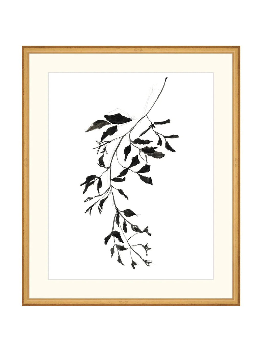 Botaniques encrées II