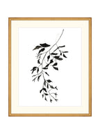 Botaniques encrées II