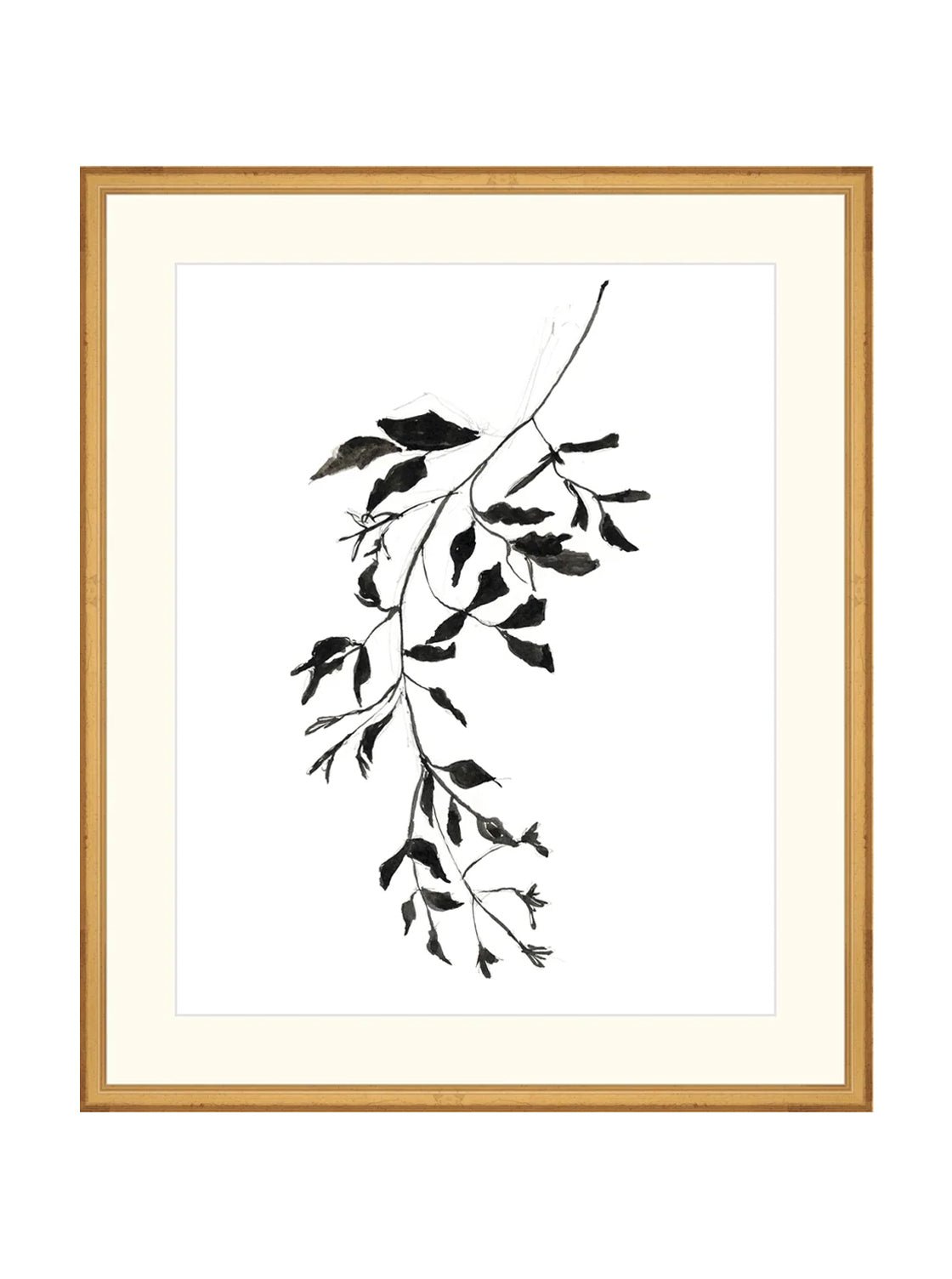 Botaniques encrées II