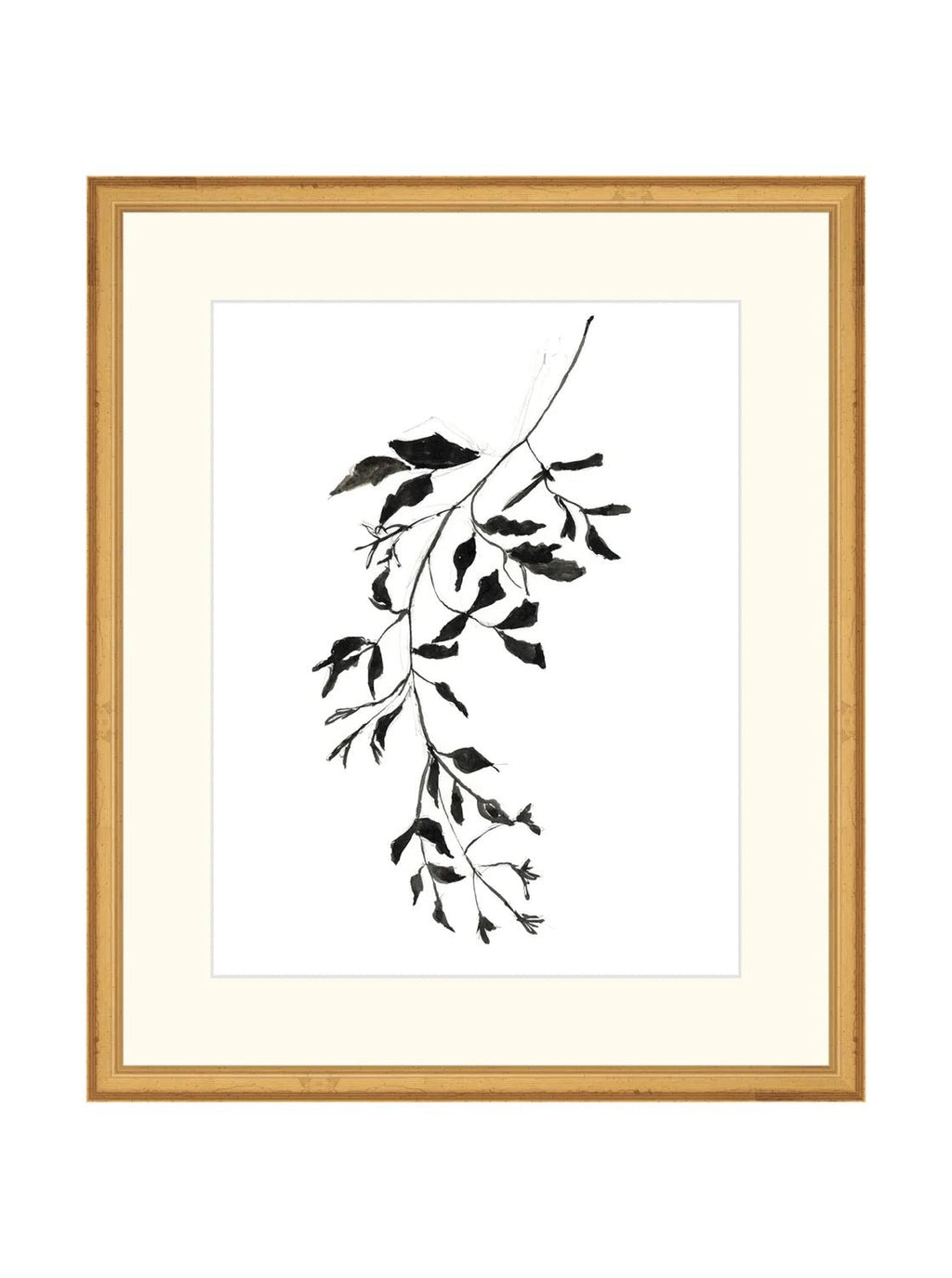 Botaniques encrées II